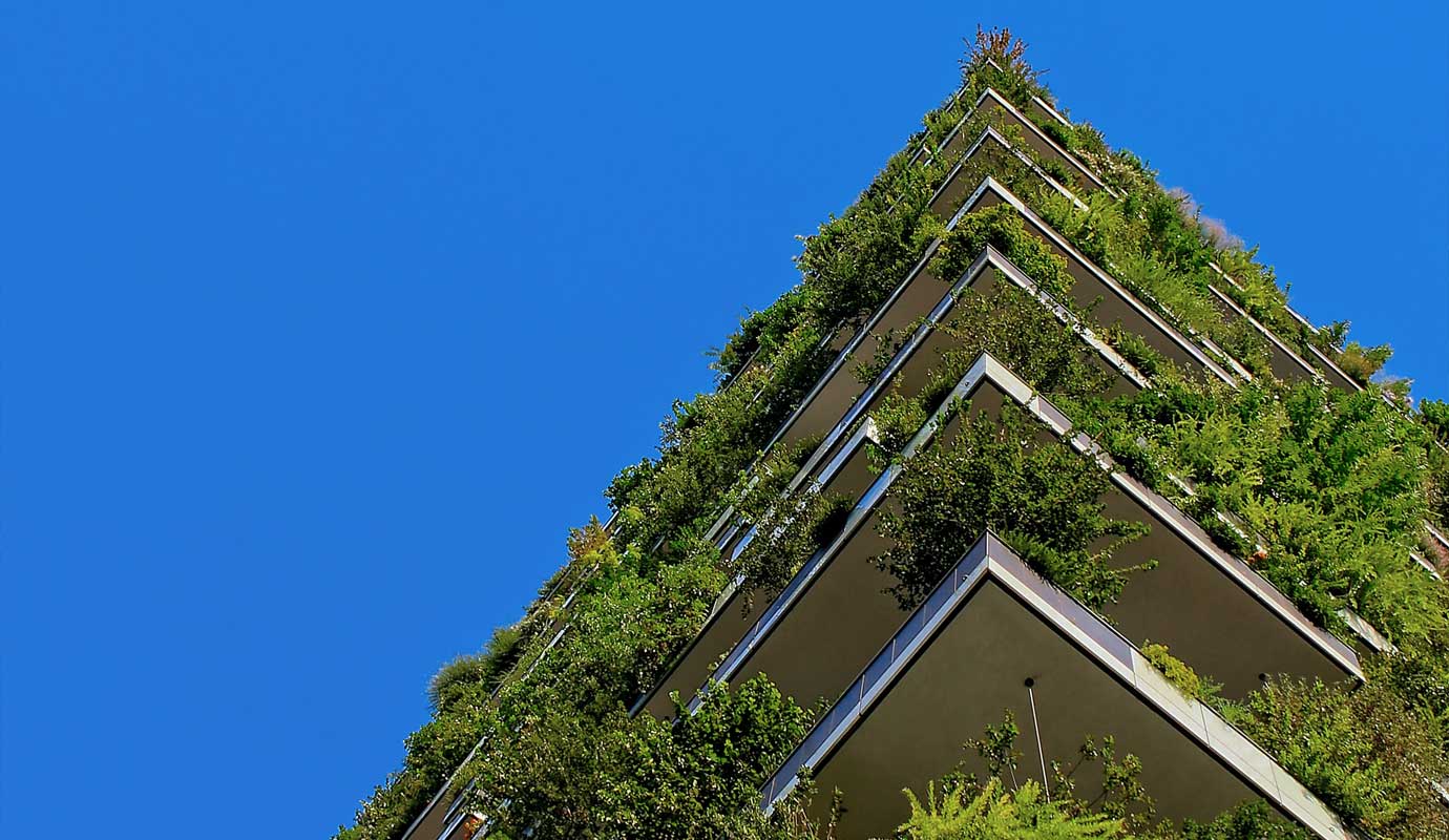 Green plants growing on the side of a building ESG in real estate